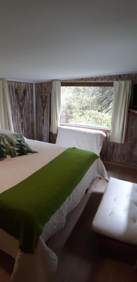 Eco Cabana ปูแอร์โตบารัส ภายนอก รูปภาพ