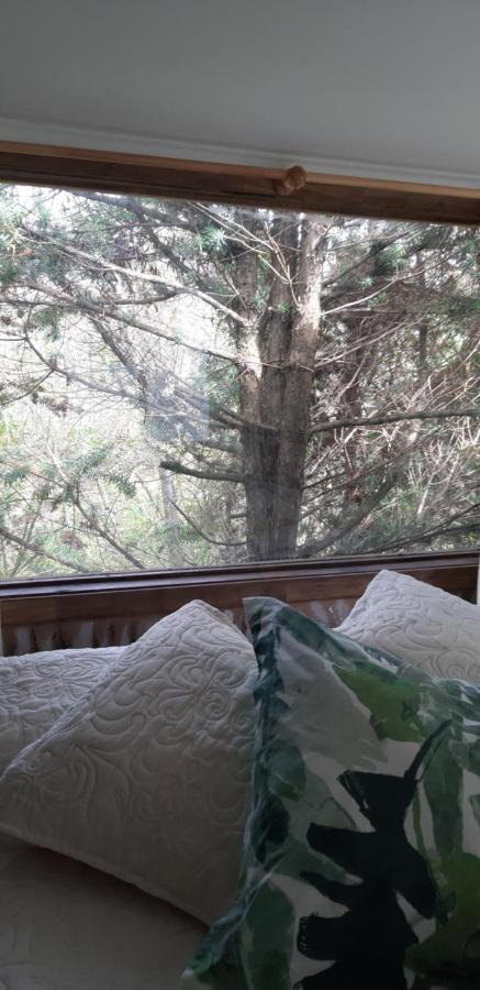 Eco Cabana ปูแอร์โตบารัส ภายนอก รูปภาพ
